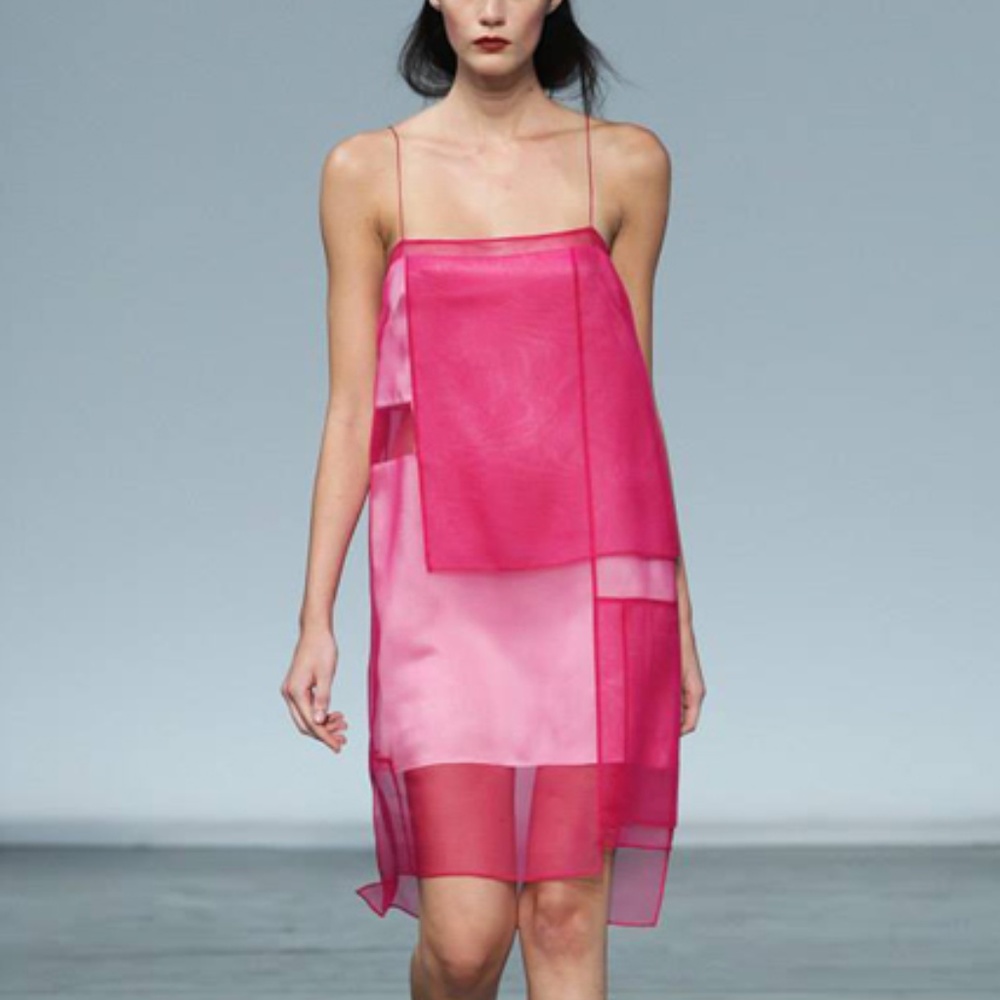 Helmut Lang Pink Organza Dress Archive XS Petite